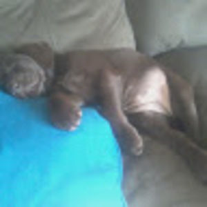 Meet your Posher, Paula